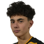 Adrian Briciu