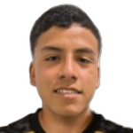 Martín Andrés Mundaca Barraza
