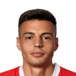 Kenan Fatkić