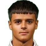 Luka Zarić