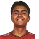 Nicolas Benjamin Villarroel Galindo