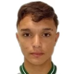 Vitor Gonçalves Tissi