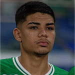 Álvaro Henrico Brasil Aleixo de Paiva