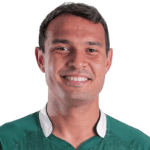 Vinícius Santos Silva
